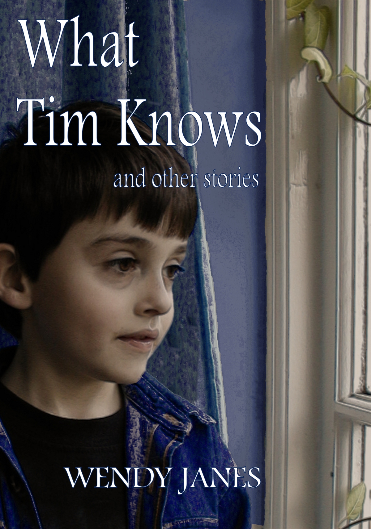 New release: What Tim Knows, and other stories by Wendy Janes